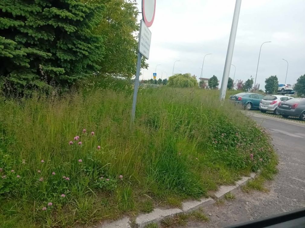 foto: materiał nadesłany